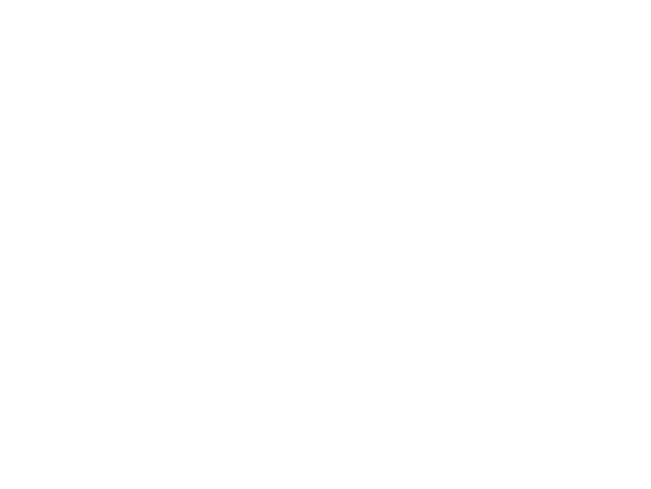 PT Surveyor Indonesia (Persero)